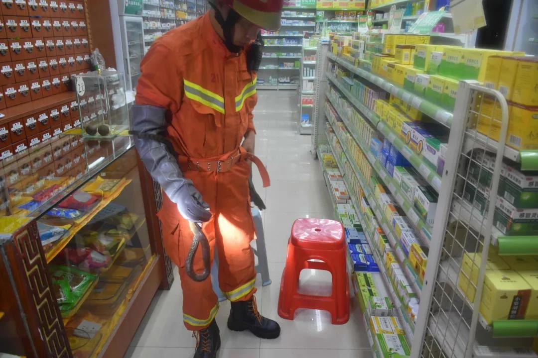 1559704181263031.jpg 1559704181263031.jpg