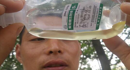 葡萄糖注射液中有螞蟻 葡萄糖注射液中有螞蟻