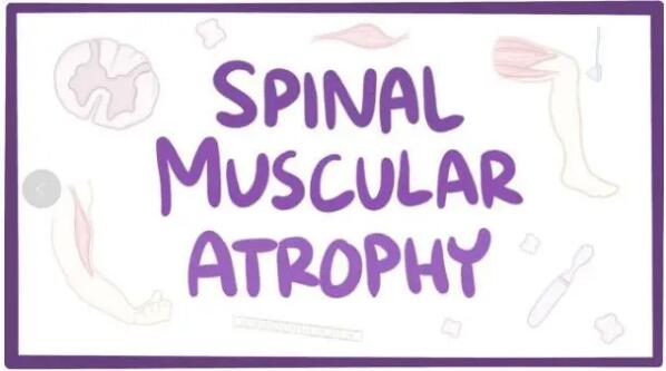 1596692352294162.jpg 8.6-3.jpg