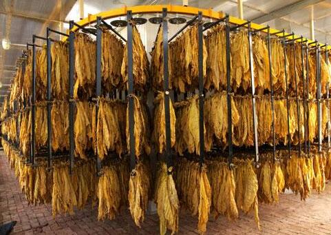 煙草煙葉倉庫 煙草煙葉倉庫