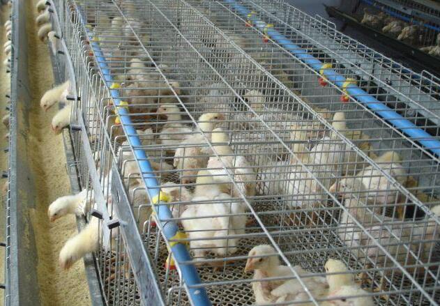 1621239683229971.jpg QQ截圖20210517155324.jpg