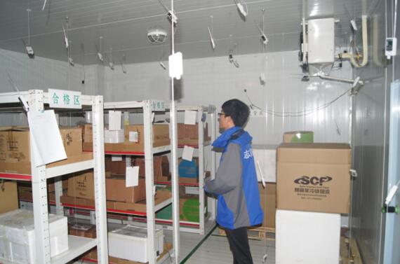 冷鏈驗(yàn)證布點(diǎn)實(shí)施 冷鏈驗(yàn)證布點(diǎn)實(shí)施