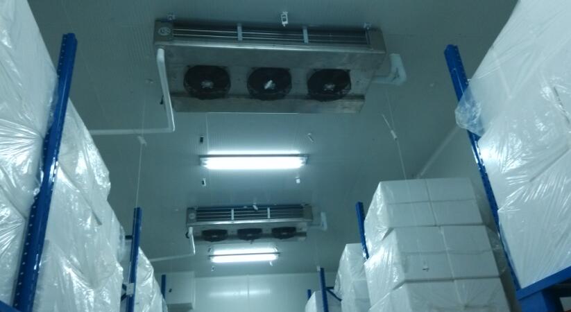 冷庫(kù)驗(yàn)證 冷庫(kù)驗(yàn)證