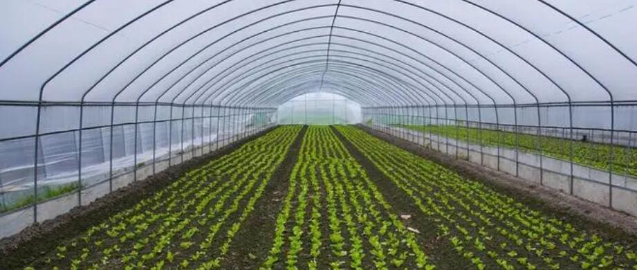 1701333070608521.jpg 1701333070608521.jpg